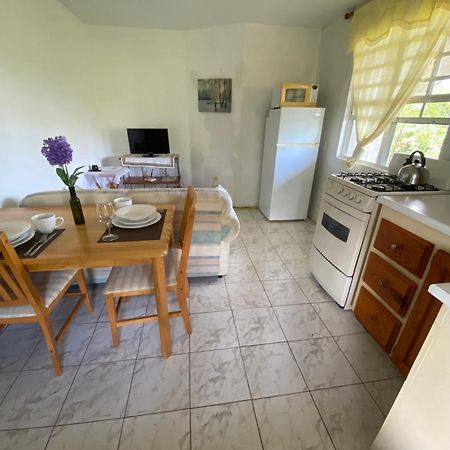 Apartament Coconut House Charlestown Nevis Zewnętrze zdjęcie