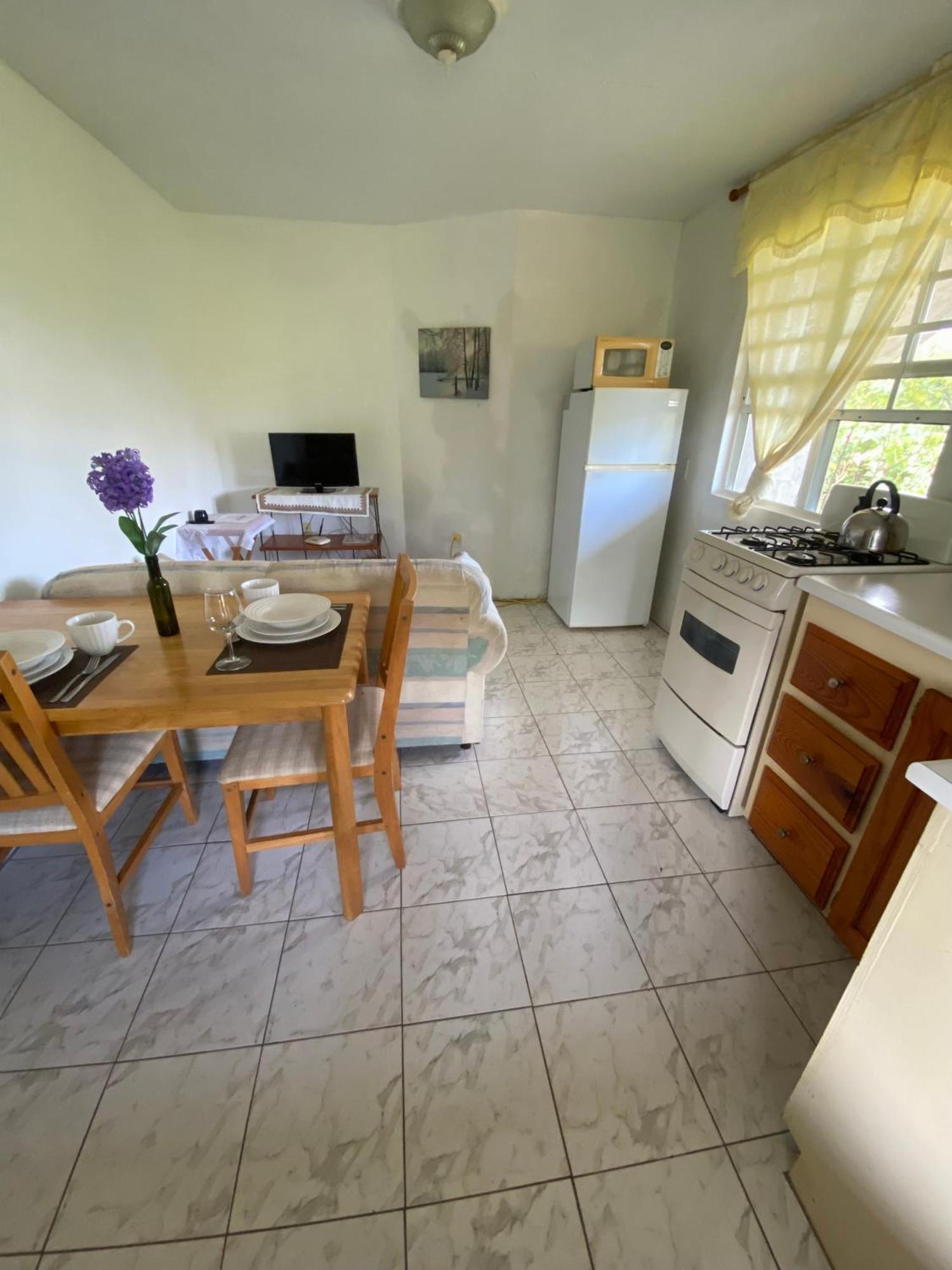 Apartament Coconut House Charlestown Nevis Zewnętrze zdjęcie