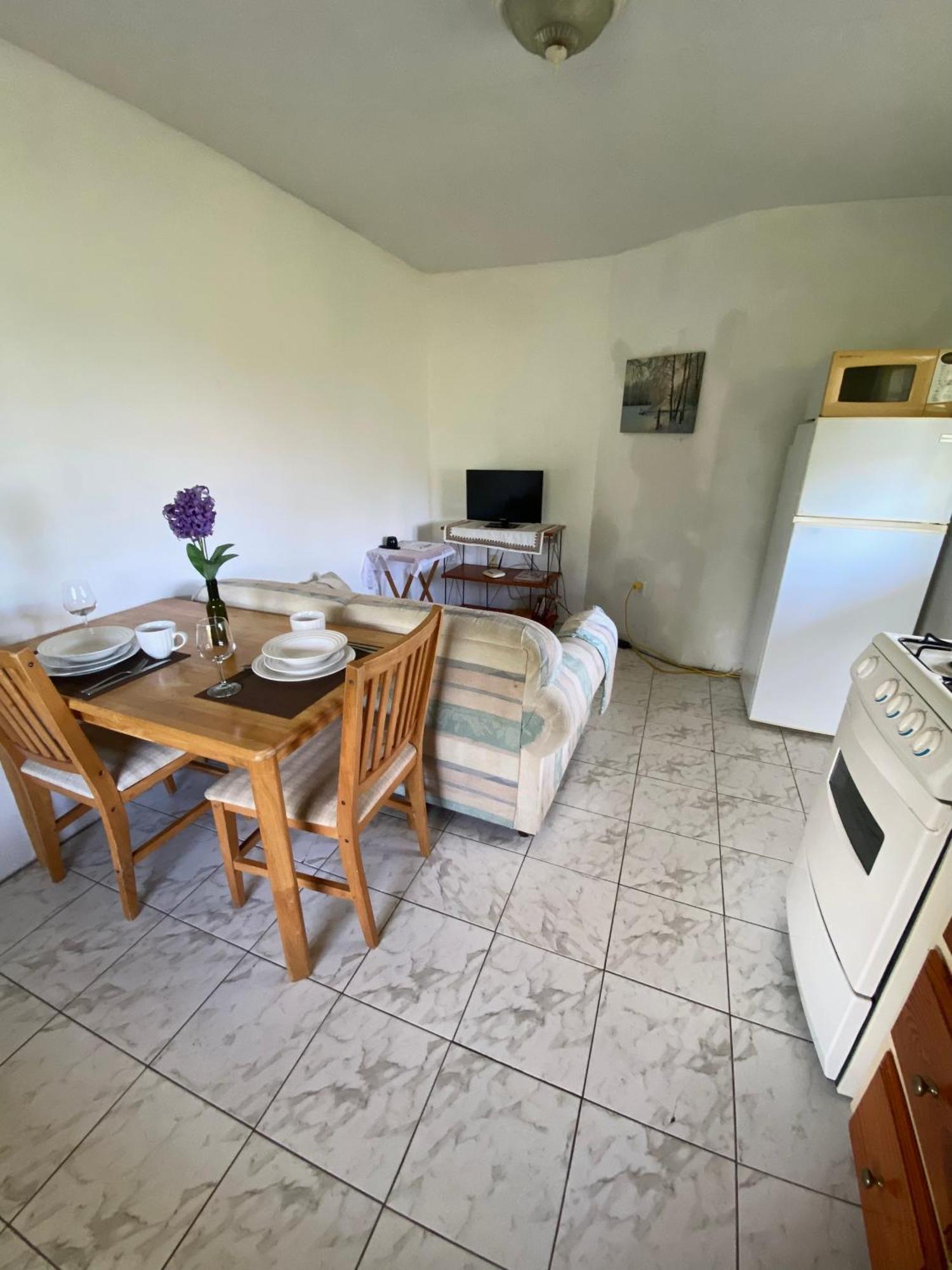 Apartament Coconut House Charlestown Nevis Zewnętrze zdjęcie