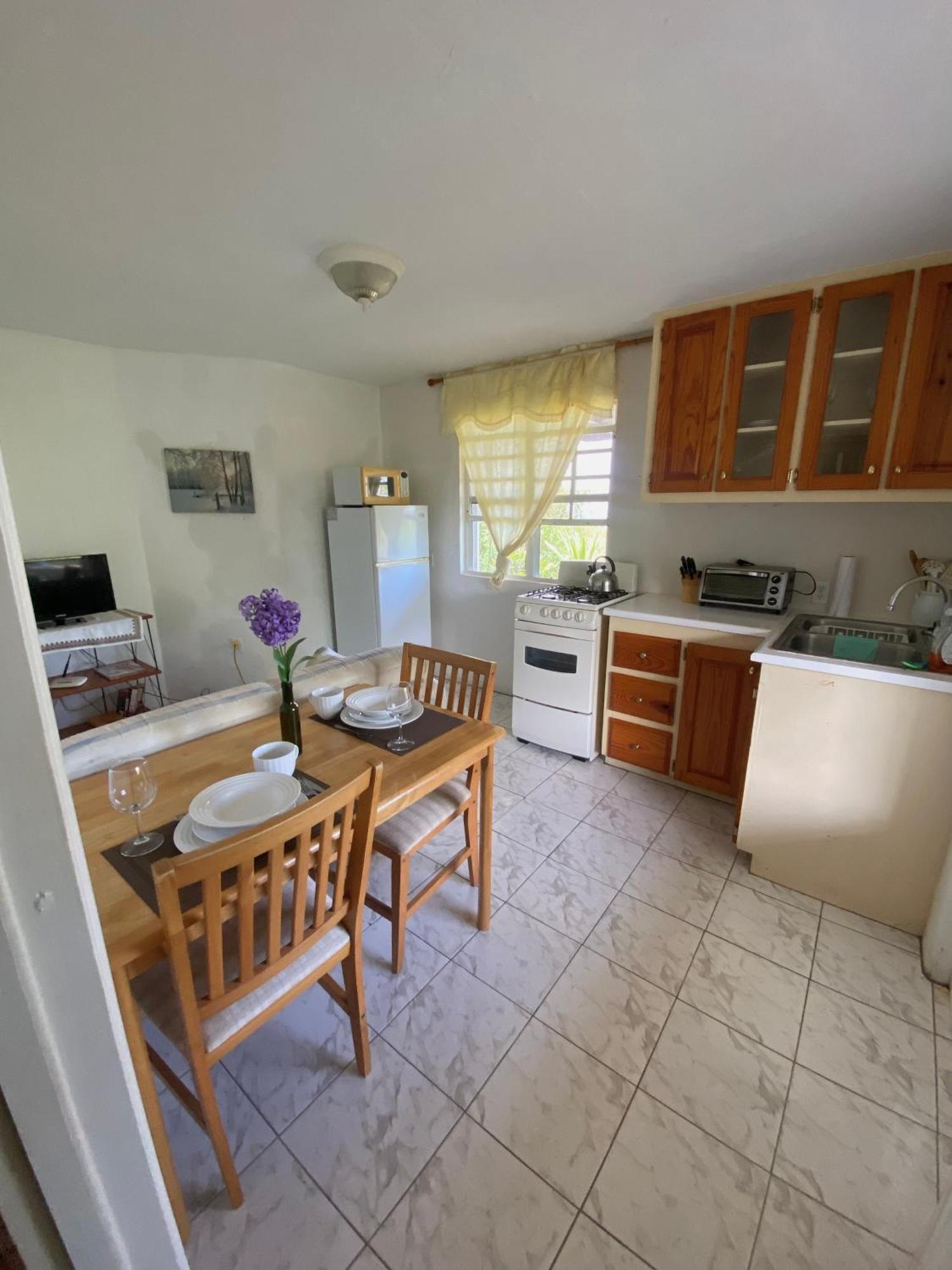 Apartament Coconut House Charlestown Nevis Zewnętrze zdjęcie