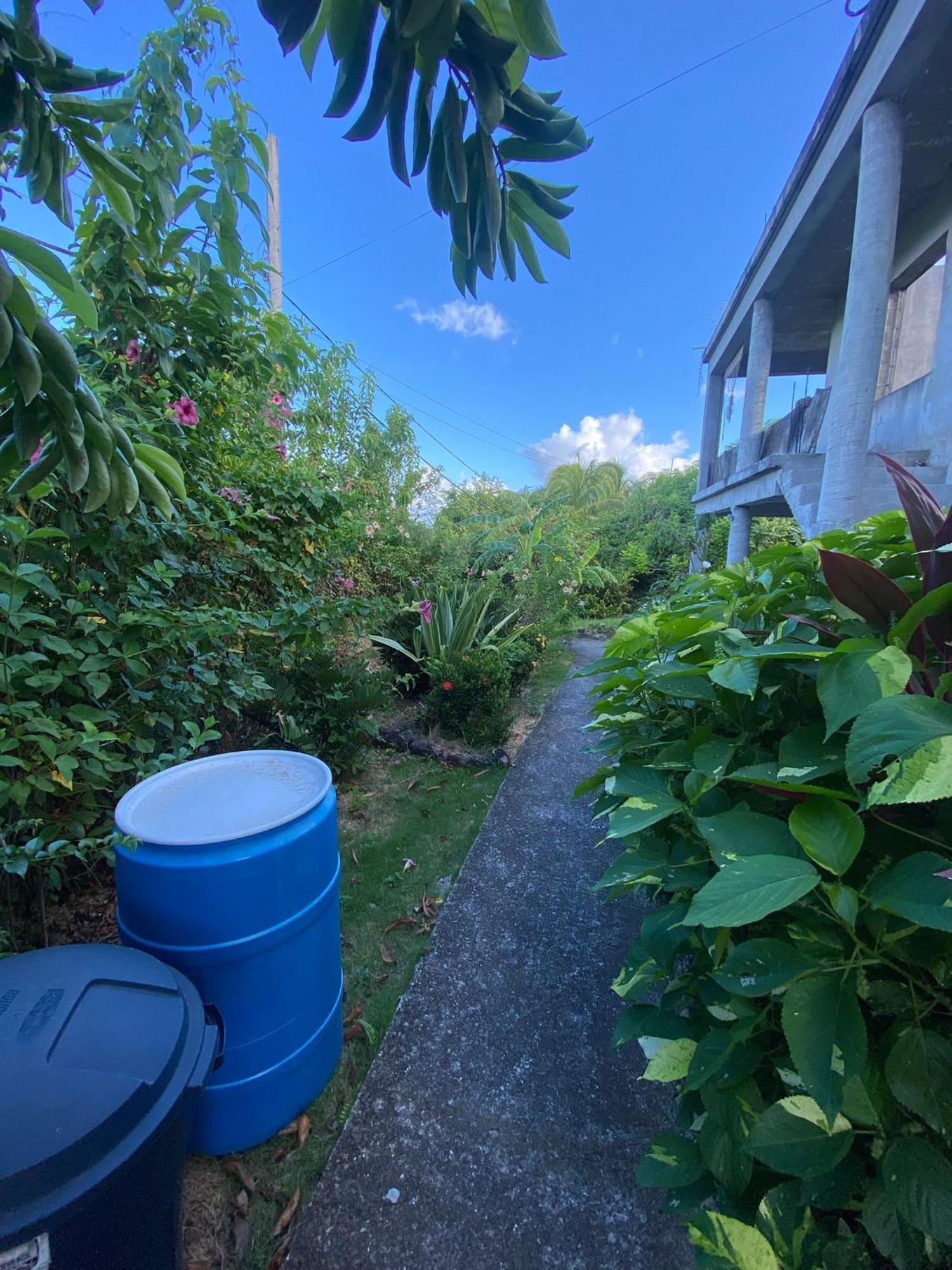Apartament Coconut House Charlestown Nevis Zewnętrze zdjęcie