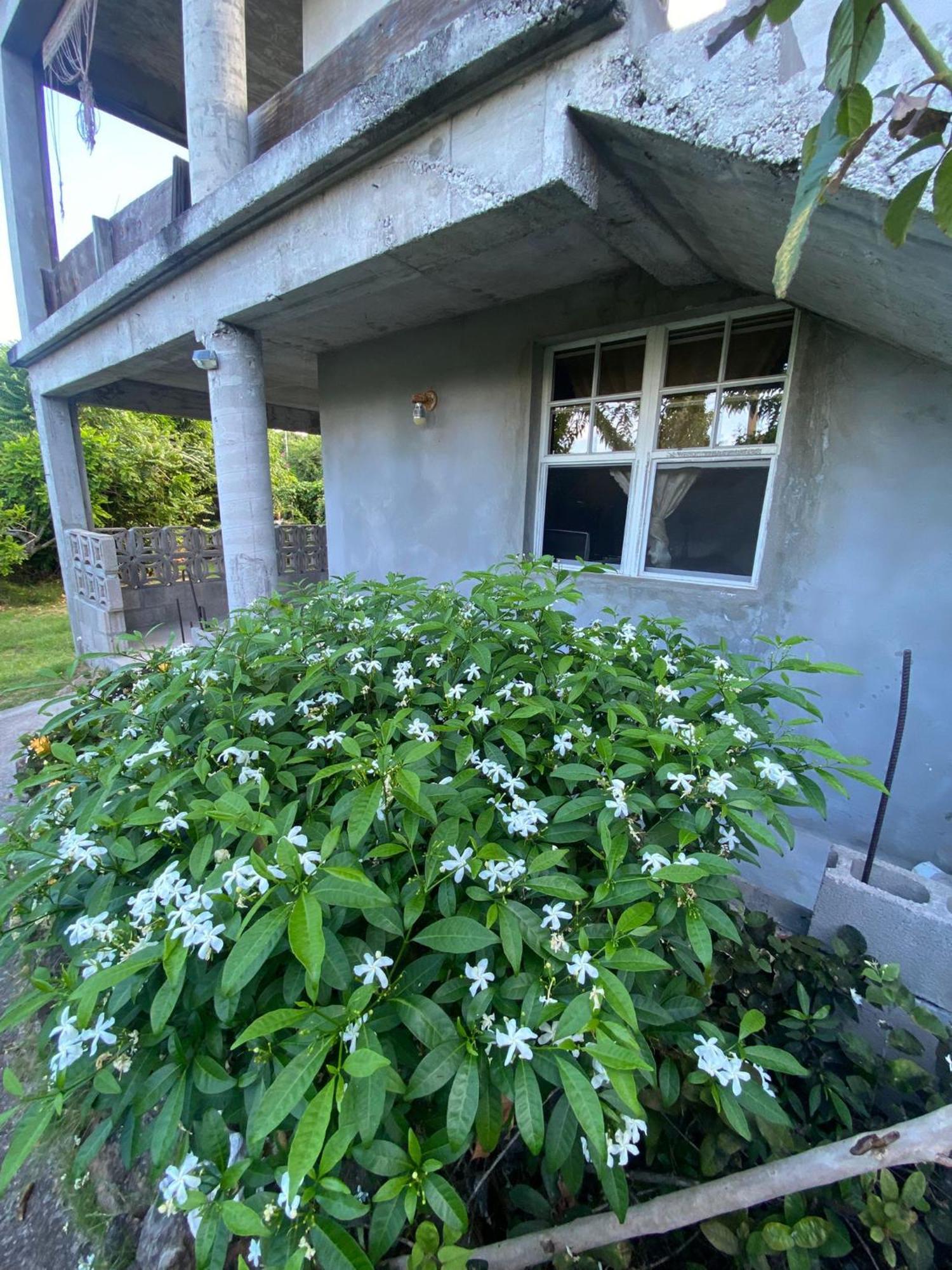 Apartament Coconut House Charlestown Nevis Zewnętrze zdjęcie