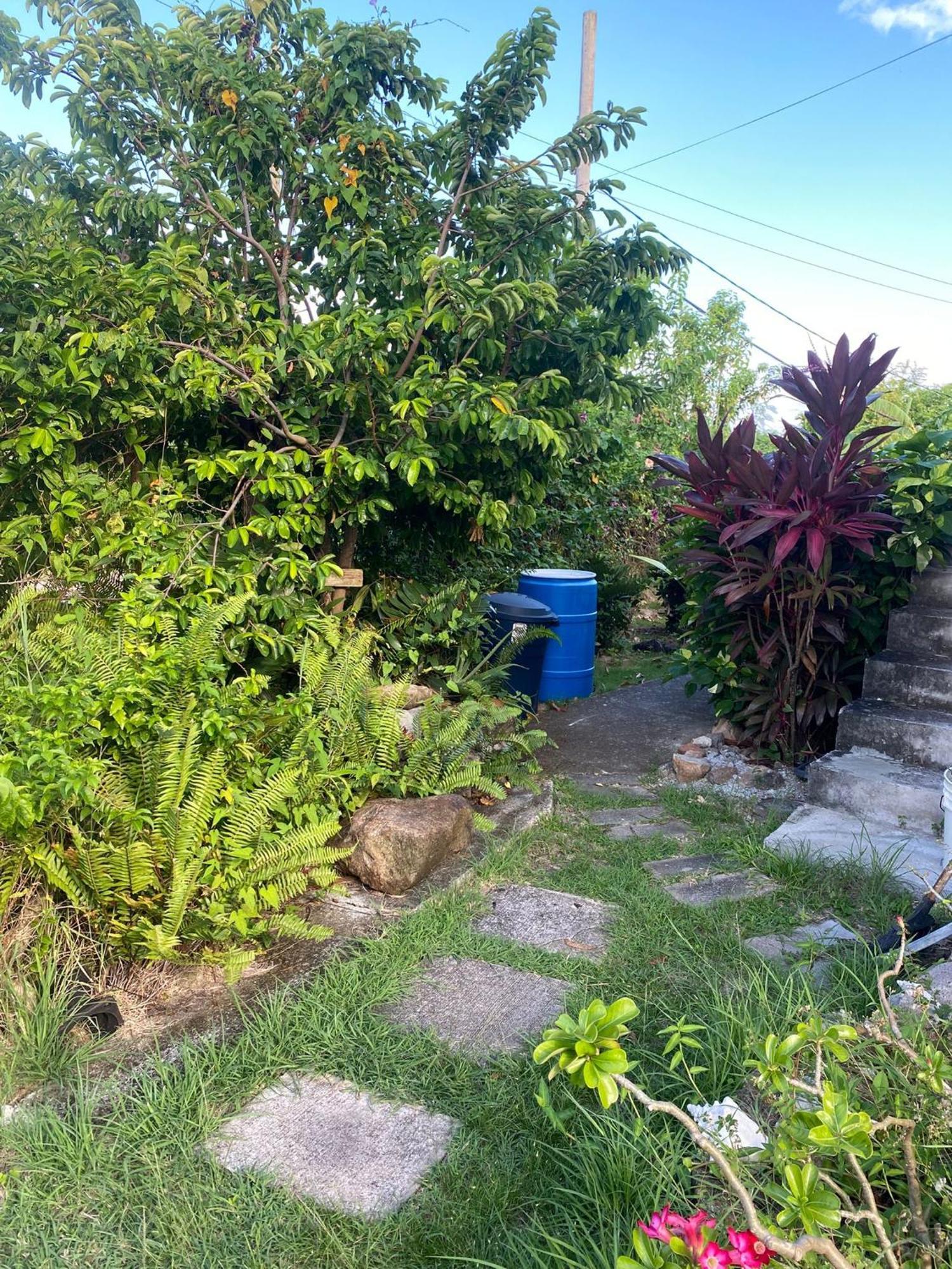 Apartament Coconut House Charlestown Nevis Zewnętrze zdjęcie