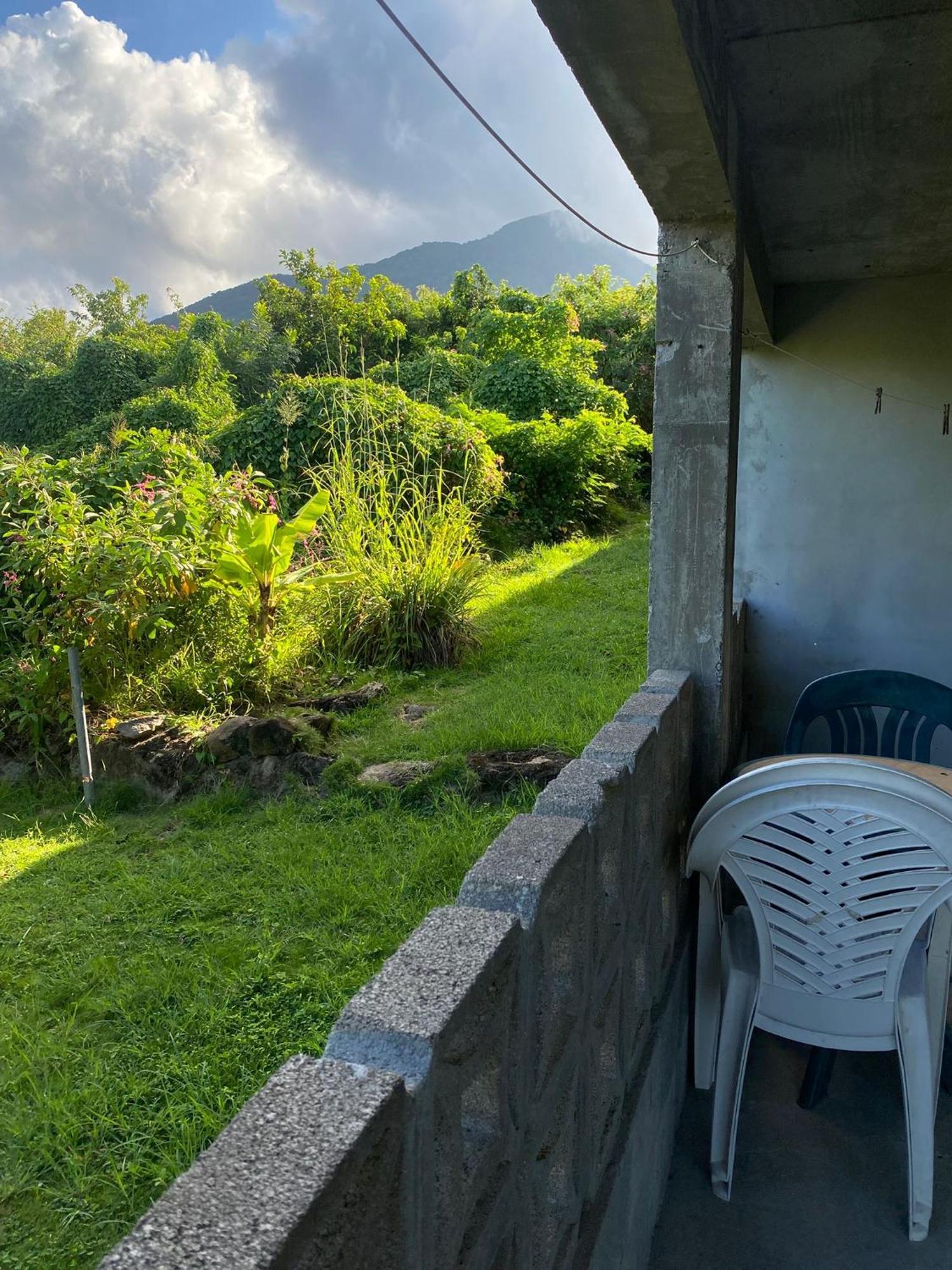Apartament Coconut House Charlestown Nevis Zewnętrze zdjęcie