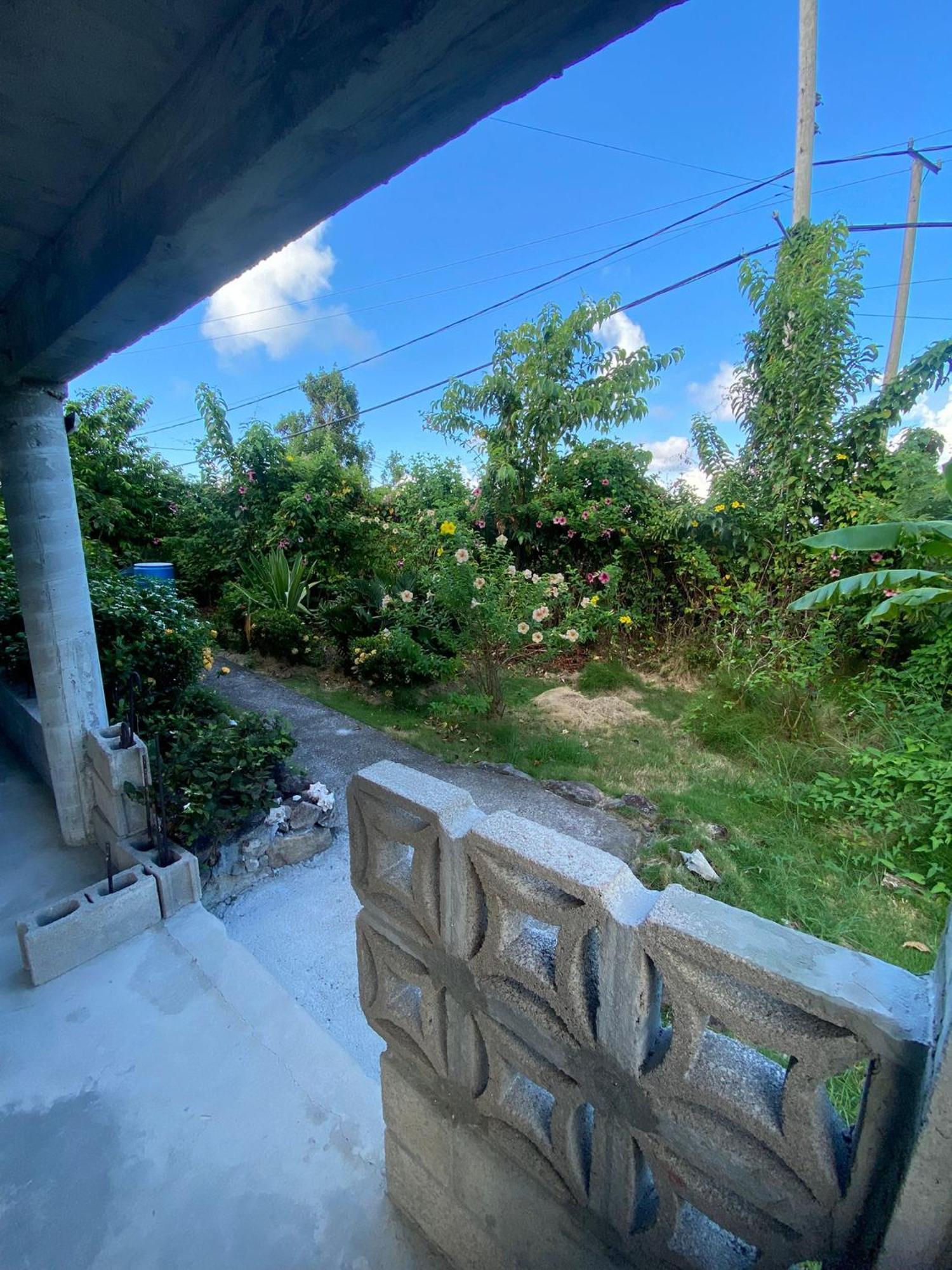 Apartament Coconut House Charlestown Nevis Zewnętrze zdjęcie