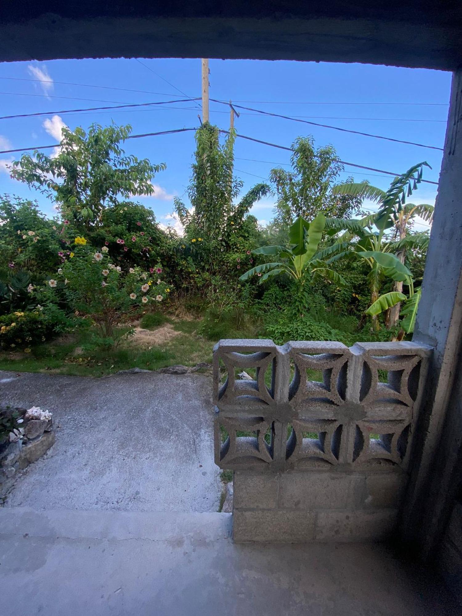 Apartament Coconut House Charlestown Nevis Zewnętrze zdjęcie